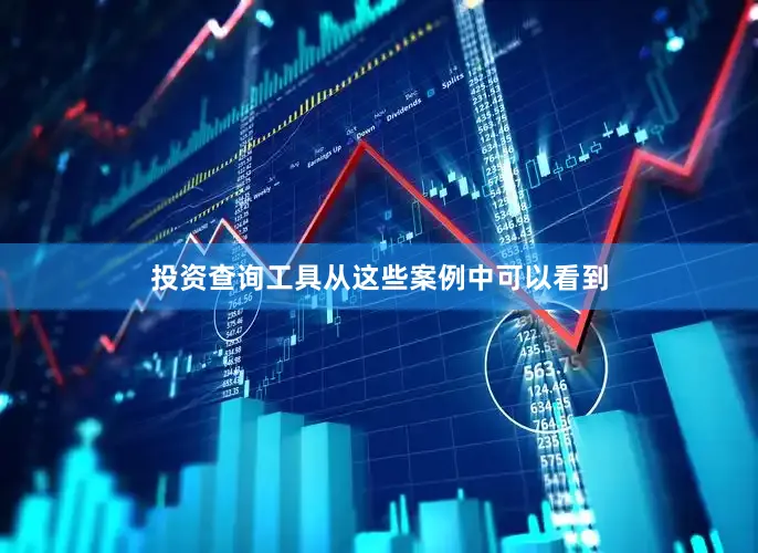 投资查询工具从这些案例中可以看到