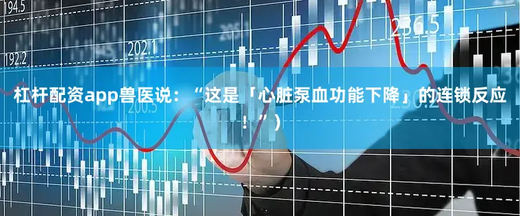 杠杆配资app兽医说：“这是「心脏泵血功能下降」的连锁反应！”）